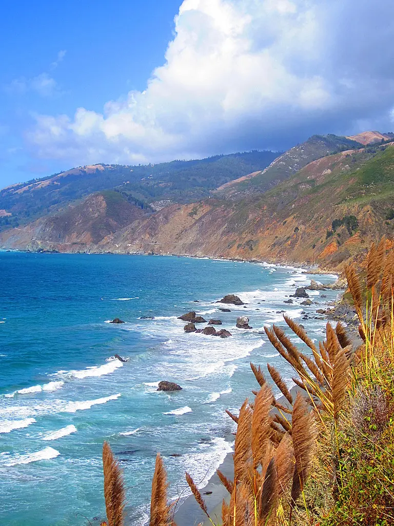 Los Padres Nat Forest & & Big Sur California & & Kirk Creek US Forest Service Campground