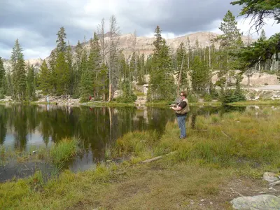 Photo: moosehorn / CC BY 3.0, via Wikimedia Commons