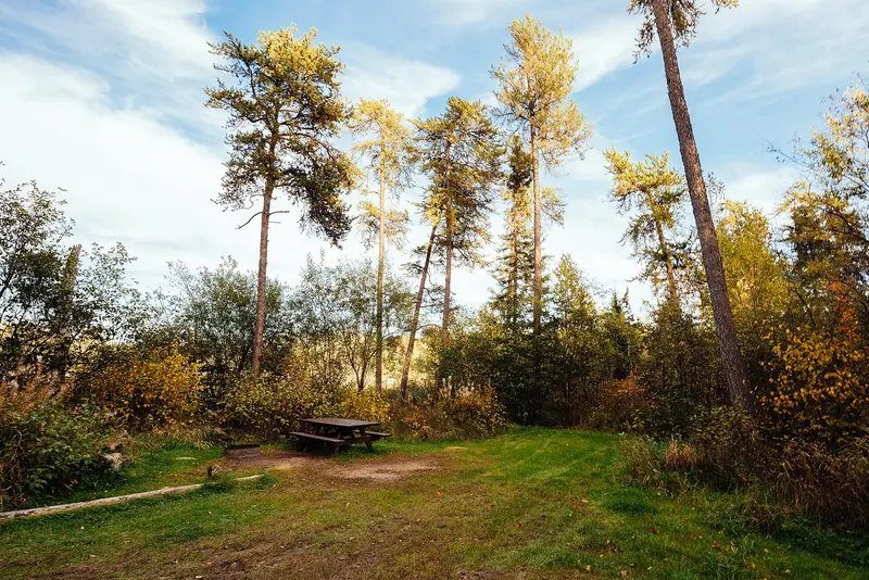 Photo: Tony Webster from Minneapolis, Minnesota, United States / CC BY-SA 2.0, via Wikimedia Commons Lake Jeanette Campground, Minnesota