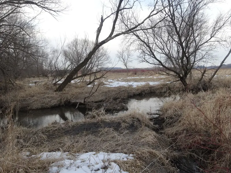 Token Creek