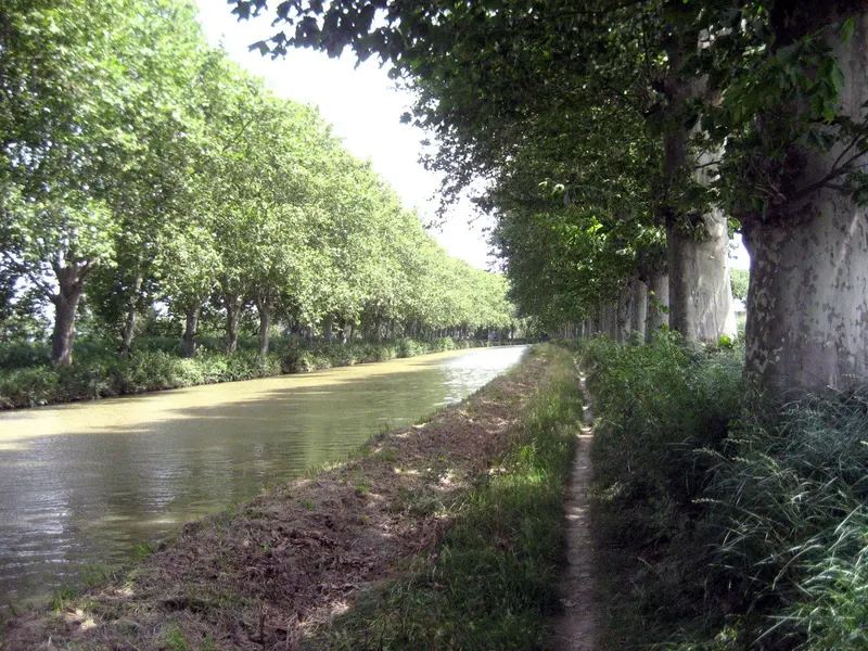 Canal du Midi, near Colombiers, about 0.5 km from Aire de Camping-Car de Colombiers