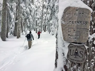 Photo: Forest Service / Public domain, via Wikimedia Commons