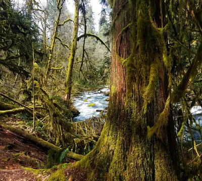 Photo: BLM Oregon & Washington / Public domain, via Wikimedia Commons