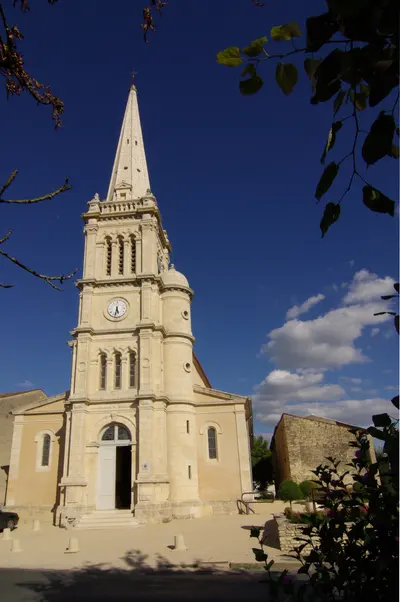 Photo: Entomolo / CC BY-SA 3.0, via Wikimedia Commons