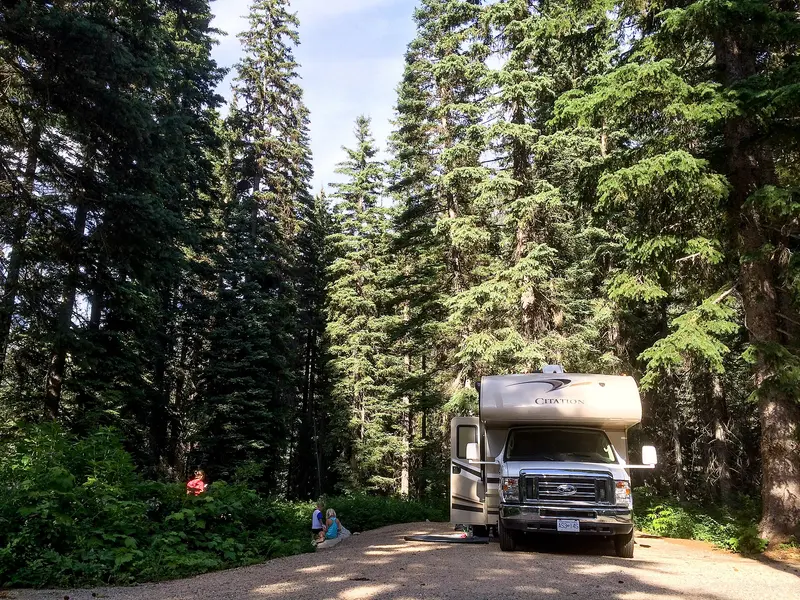 In the Woods