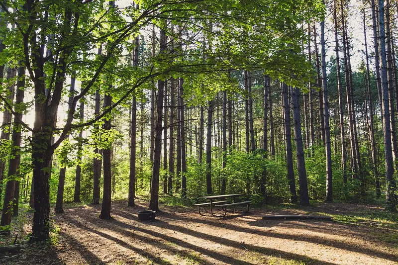 Campground at Savanna Portage State Park, Minnesota