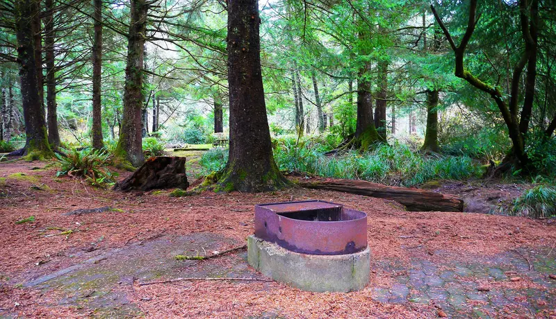 Photo: RickObst / CC BY-SA 4.0, via Wikimedia Commons Firepit in handicapped camp site at Sunset Bay State Park