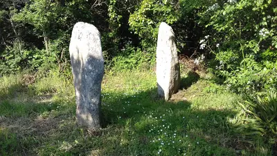 Photo: Llann Wé² / CC BY-SA 4.0, via Wikimedia Commons