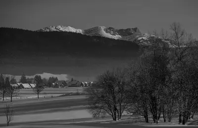 Photo: Ylliab Photo from Grenoble, France / CC BY 2.0, via Wikimedia Commons
