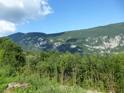 Photo: chisloup / CC BY 3.0, via Wikimedia Commons