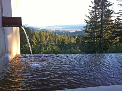 Napa Valley, California, near Angwin