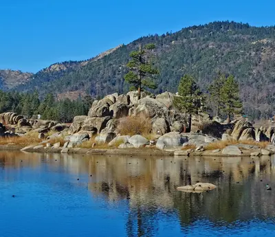 Photo: Don Graham from Redlands, CA, USA - God bless it! / CC BY-SA 2.0, via Wikimedia Commons