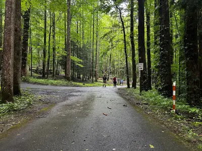 Photo: Northern-Virginia-Photographer / CC0, via Wikimedia Commons