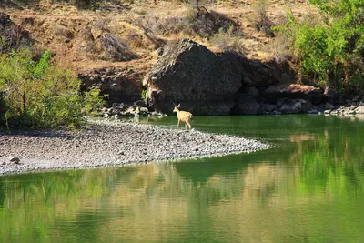 Photo: Bureau of Land Management Oregon and Washington / Public domain, via Wikimedia Commons