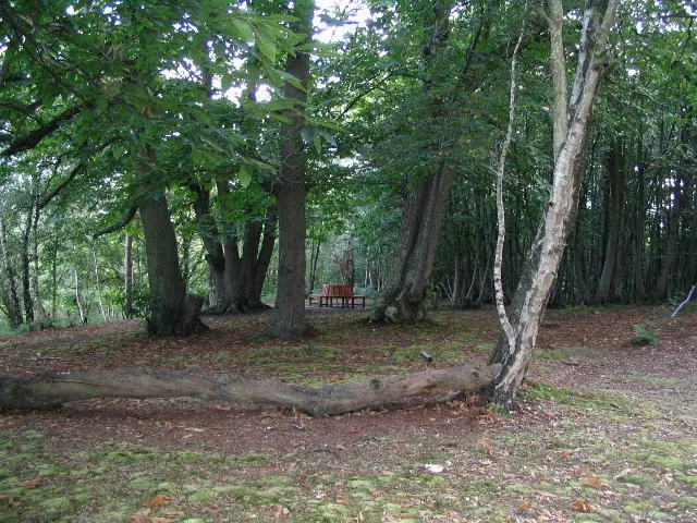 Photo: E Gammie / CC BY-SA 2.0, via Wikimedia Commons Tumulus at Graffham camp site