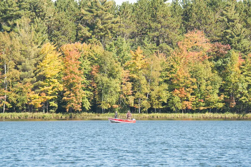 Photo: usfs_Eastern_Region / Public domain, via Wikimedia Commons