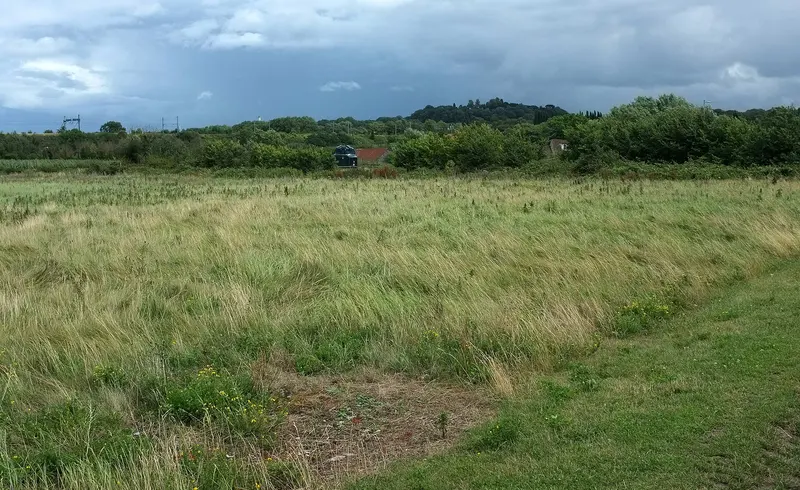 Grassland near The Wave, about 0.2 km from The Wave Campsite