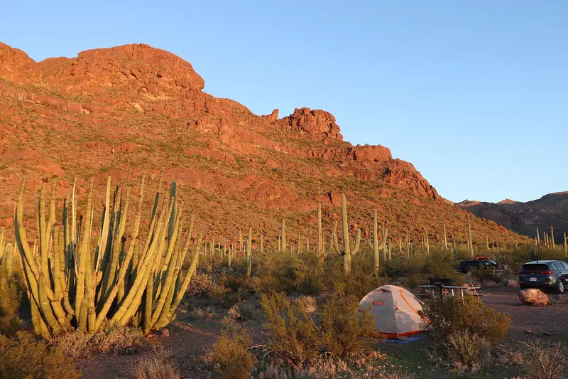 Another view of Alamo Canyon campground