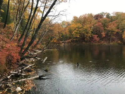 Photo: usfs_Eastern_Region / Public domain, via Wikimedia Commons