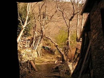 Photo: MarcJP46 / CC BY-SA 4.0, via Wikimedia Commons