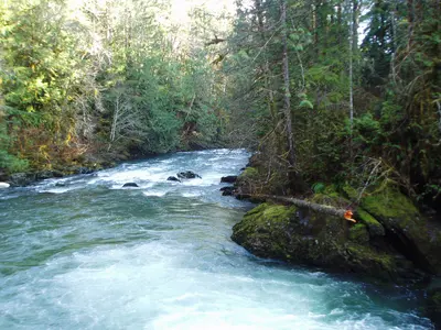 Photo: U.S. Forest Service- Pacific Northwest Region / Public domain, via Wikimedia Commons