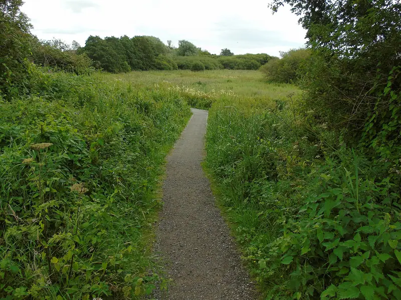 To the boardwalk, Burton Mere