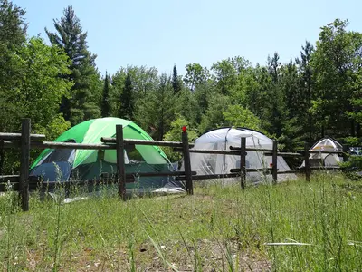 Photo: usfs_Eastern_Region / Public domain, via Wikimedia Commons