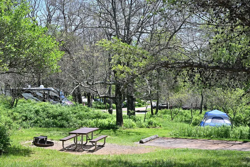 Pull In Campsite at Big Meadows Campground Shenandoah