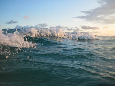 Navarre Beach Wave