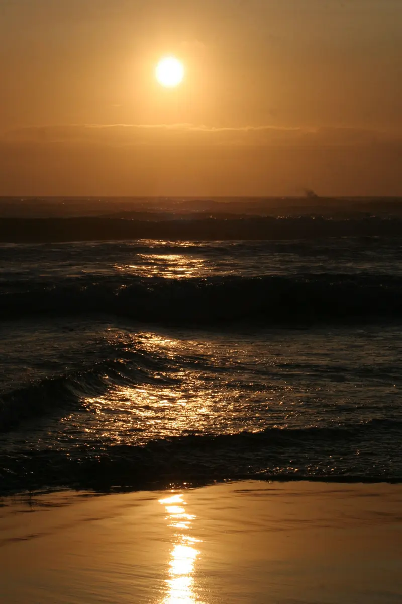 Tillamook County, OR, USA, about 1.6 km from Whalen Island County Campground