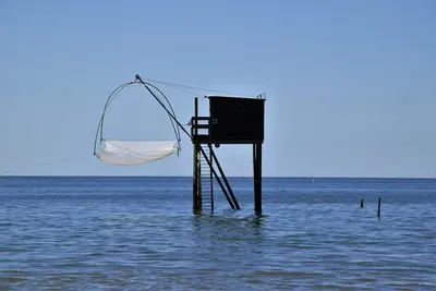 Photo: Olivier Letourneux / CC BY 2.0, via Wikimedia Commons