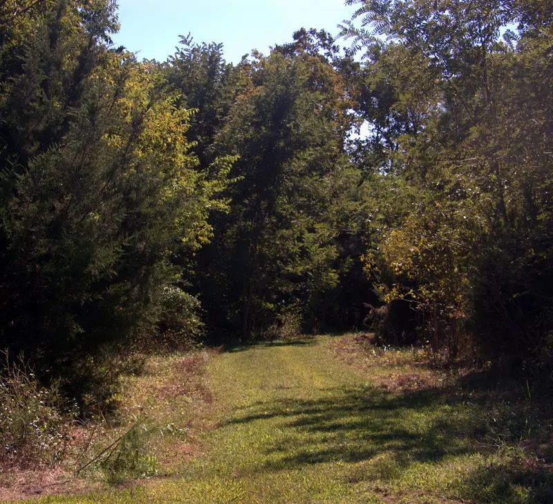 Trail Head at Poplar Thicket, Long Neck