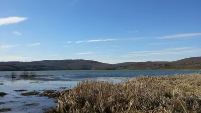 Photo: Matthewvetter / CC BY-SA 4.0, via Wikimedia Commons