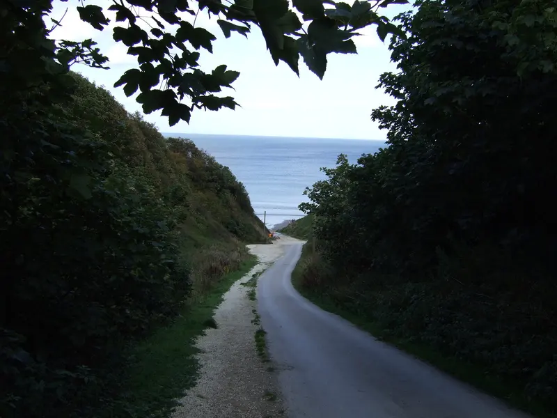 Track from Holiday Park down to Reighton Sands