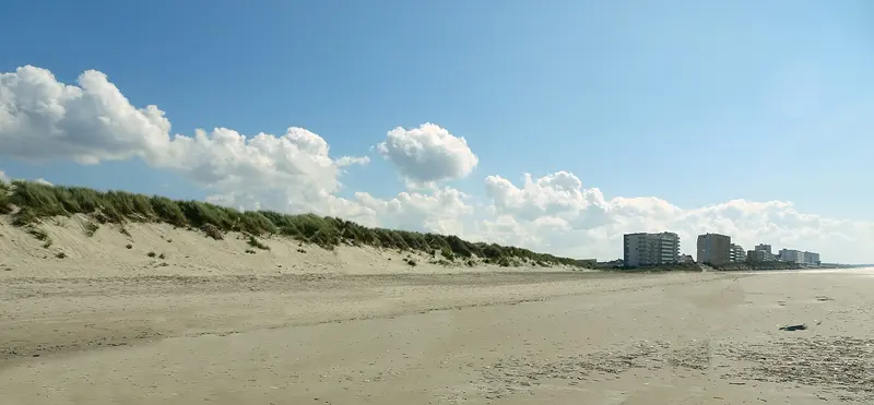Les dunes d'Ecault en, about 1.6 km from Camping de la Warenne (Camping Municipal d'Ecault)