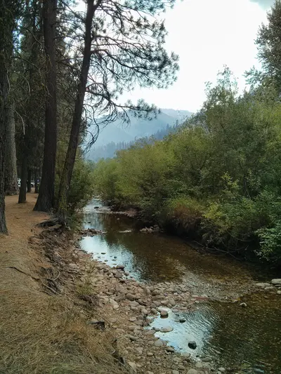 Photo: Intermountain Region US Forest Service / Public domain, via Wikimedia Commons