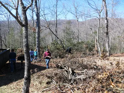 Photo: Virginia State Parks staff / CC BY 2.0, via Wikimedia Commons