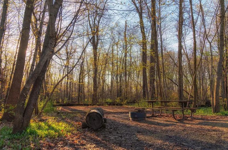 Spring at Nerstrand Big Woods State Park Campground - Minnesota