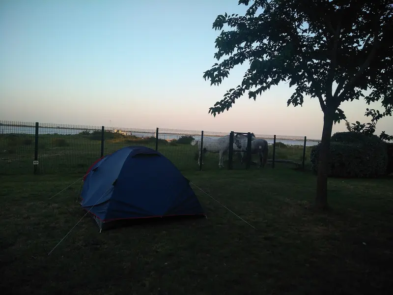 Photo: Remi Mathis / CC BY-SA 4.0, via Wikimedia Commons Pauillac - camping municipal Gabarreys