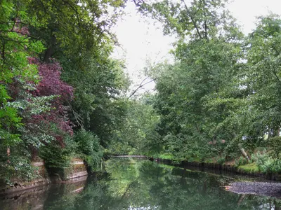 Photo: Croquant / CC BY-SA 4.0, via Wikimedia Commons