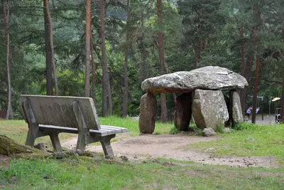Photo: Selbymay / CC BY-SA 4.0, via Wikimedia Commons