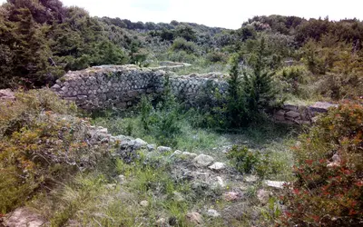 Photo: TeletubAstyanax / CC BY-SA 4.0, via Wikimedia Commons