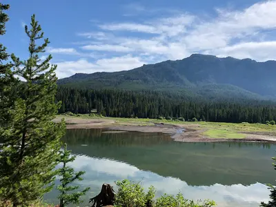 Photo: Forest Service - Northern Region / Public domain, via Wikimedia Commons