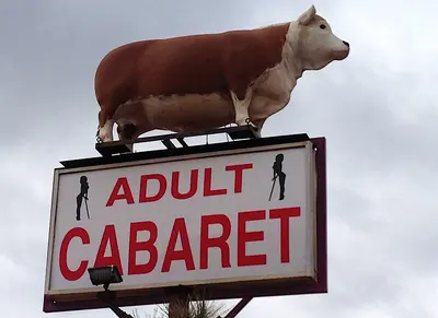 2012-366-352 Cow Cabaret