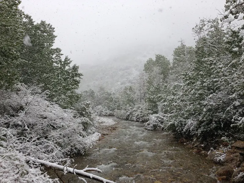 08 28 49 Snow in June along Lamoille Creek at the Thomas Canyon Campground in Lamoille Canyon, Nevada