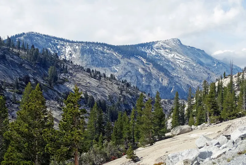 Land of Granite, Yosemite High Country, about 1.5 km from Yosemite Creek Campground