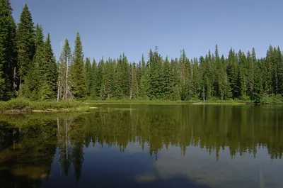 Photo: U.S. Forest Service- Pacific Northwest Region / Public domain, via Wikimedia Commons