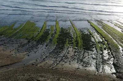 Seascape