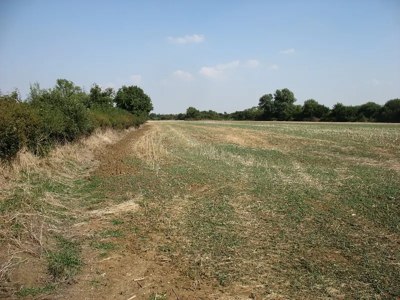 Farmland north-west of Castle Eaton, about 0.5 km from Second Chance Touring & Residential Park