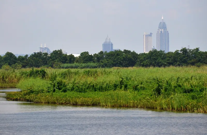 5 Rivers Delta Recource Center, near Spanish Fort